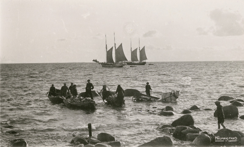 Puude laadimine rannas.