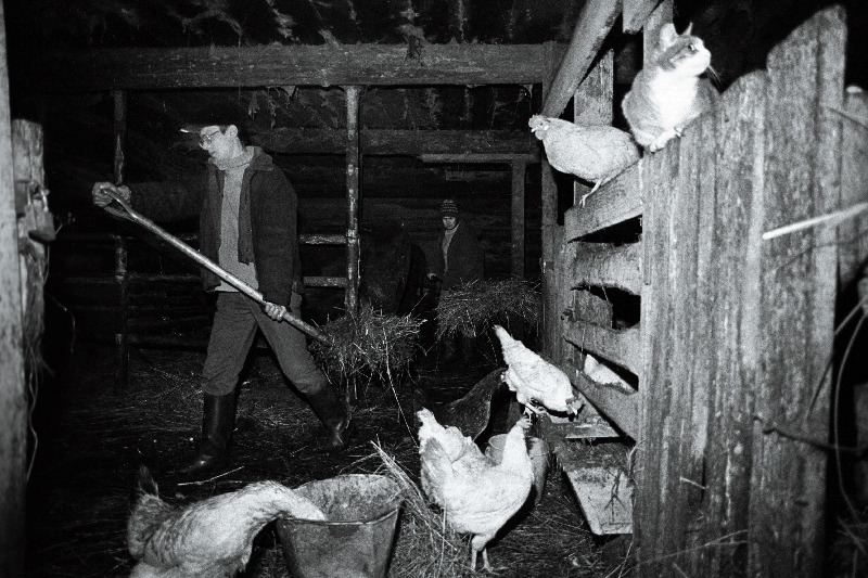 Kaido Kama laudas hanguvad.