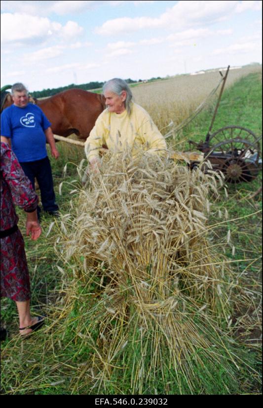 Eesti Rukki Seltsi korraldatud rukkipäev.