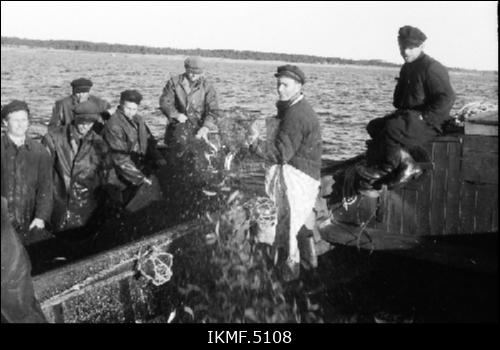 Prangli saar 1962. a, kalamehed kastmõrrapüügil, kalurid kala paati kühveldamas