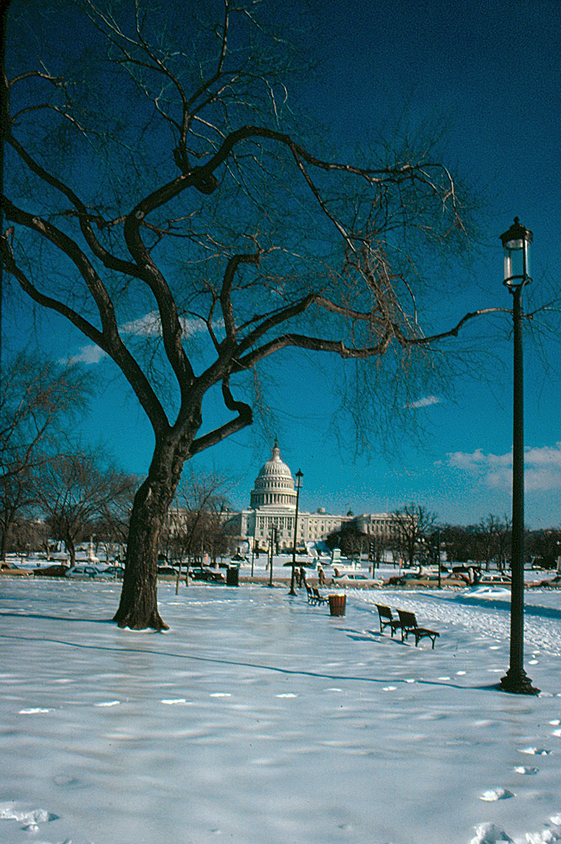 1982-01-Washington Capitol031-ps - Capitol Hill Historic District in 1982 (around January, 23)
