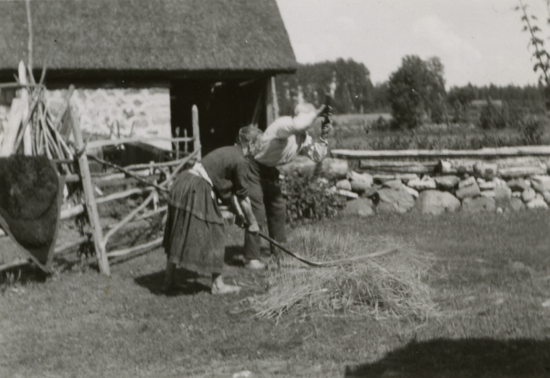 Vardaga rehepeksu demonstreerimine Kangru Aadu talus Äärepere külas. Paatsalu vald.
