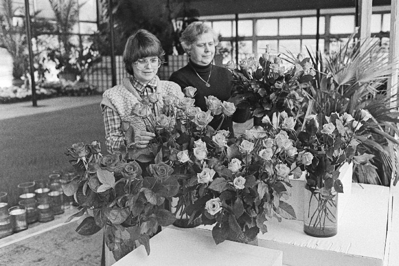 Pirita lillekasvatuse näidissovhoosi lillepaviljoni näidlsala vanemagronoom E.Põder (paremal) ja metoodik K. Lehiste avatavat näitust üles seadmas.