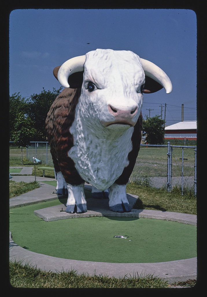 Bull front view, Fairway Golf, 1700 Como Avenue, St. Paul, Minnesota (LOC)