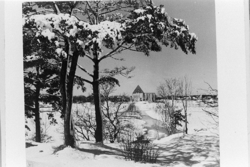 Vaade Pirita kloostri varemetele.