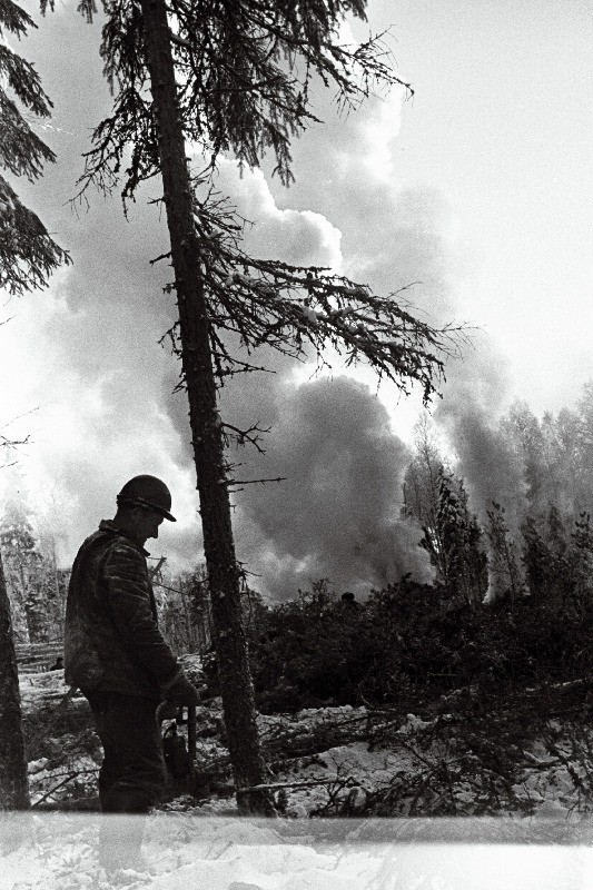 Pärnu Metsakombinaadi tööline Arseni Talvik puud langetamas.
