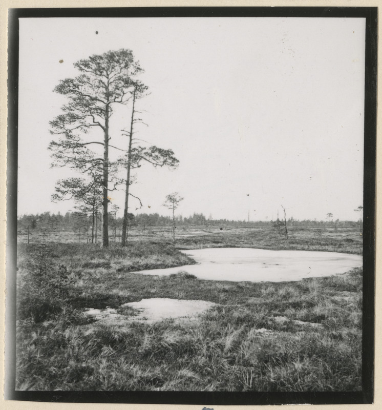 Ropazi soo Riiast idas