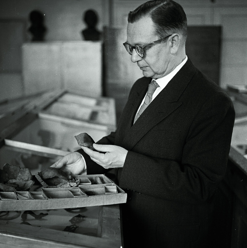 TRÜ õppejõud, professor Harri Moora.