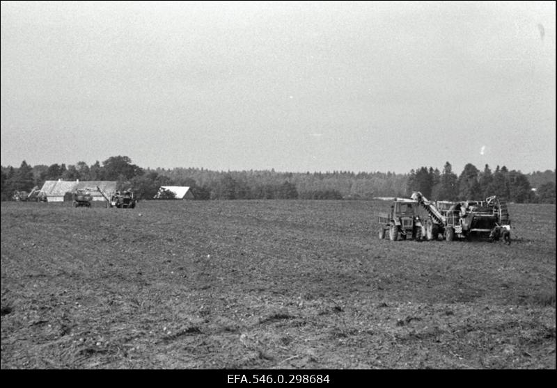 Jõgeva Pajusi RH. Lillepere