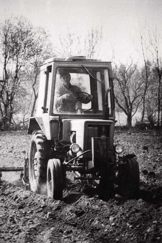 Harjumaal Ohtu külas Saariku talu peremees Erich Alter künnitööl.