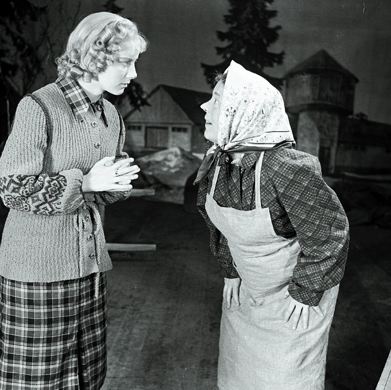 Stseen L. Kahase komöödiast Pähklimägi. Leili - Ellu Puudist, Aavo Koskel - Kalju Karask.