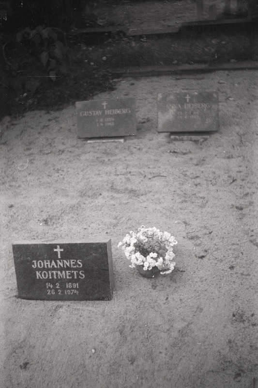 Farmatseudi ja kodu-uurija Johannes Koitmetsa hauakivi Rahumäe kalmistul.
