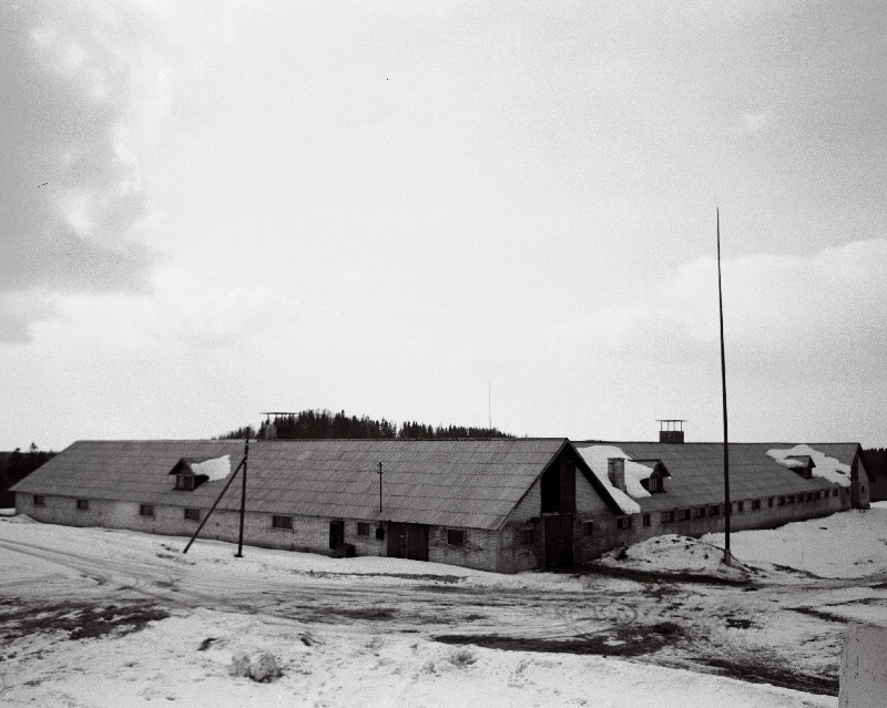 Vaade Orumäe tõuveise- ja tõulambakasvatuse sovhoosi lambalautadele.