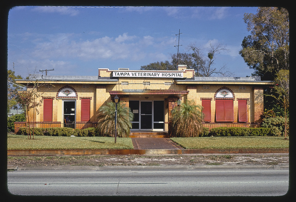 Tampa Veterinary Hospital, Tampa, Florida (LOC)