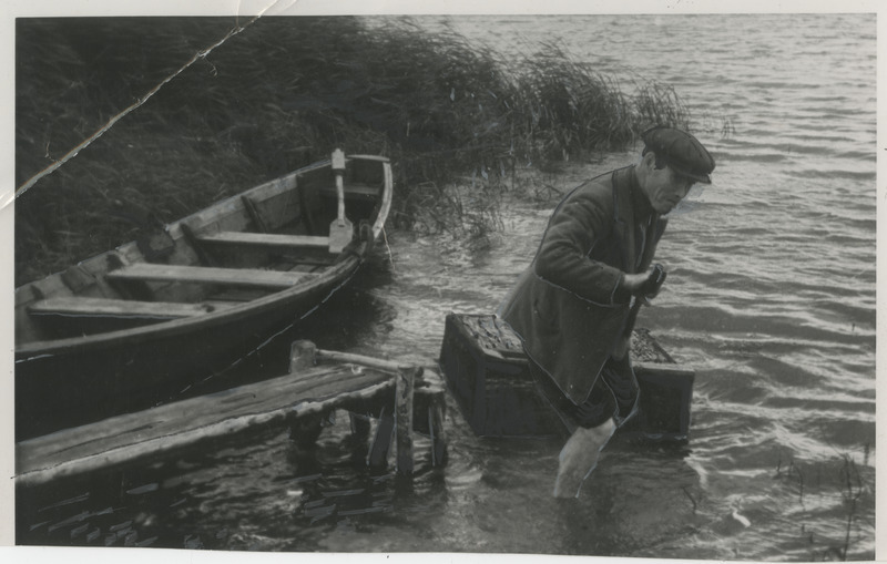 Kalur tõmbab Pangodi järvest välja vähisumpa ehk vähkide hoiukasti