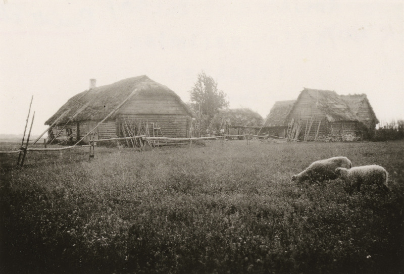 Sassi talu Põhjaka saunakülas.