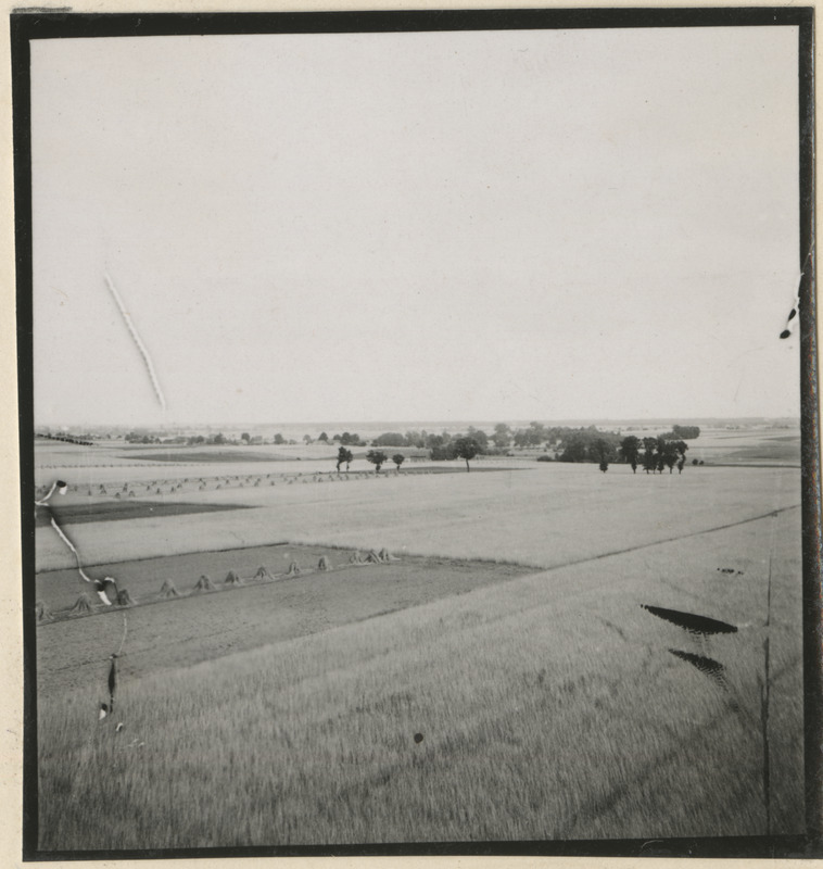 Lõikuseaegne aerofoto rõukudega viljapõllust, taamal meri. Oletatavalt Põhja-Eestis