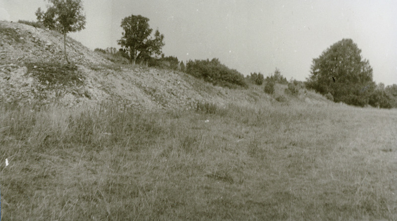 Klint Naage ja Vaila vahel.