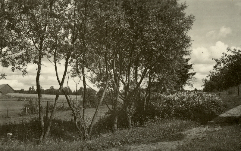 Vanamõisa küla.