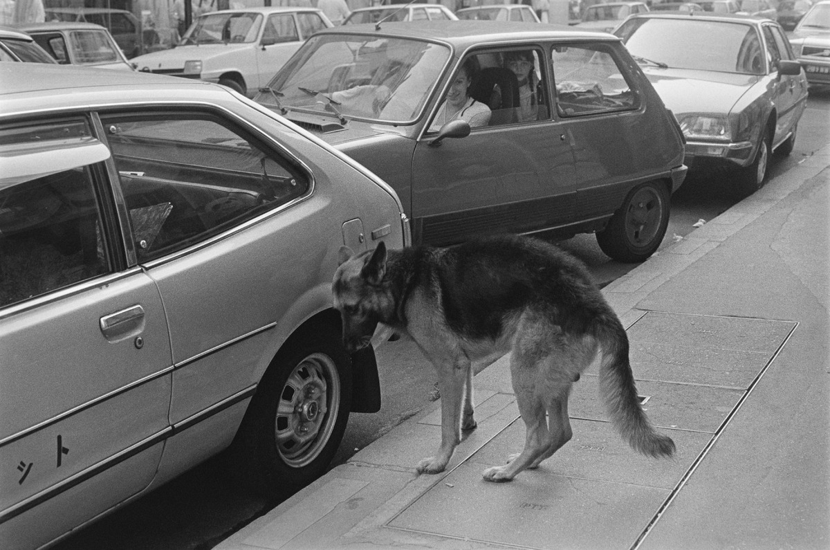 People and dogs in Paris, France, in autumn 1982.; Ihmisiä ja koiria Pariisissa syksyllä 1982.