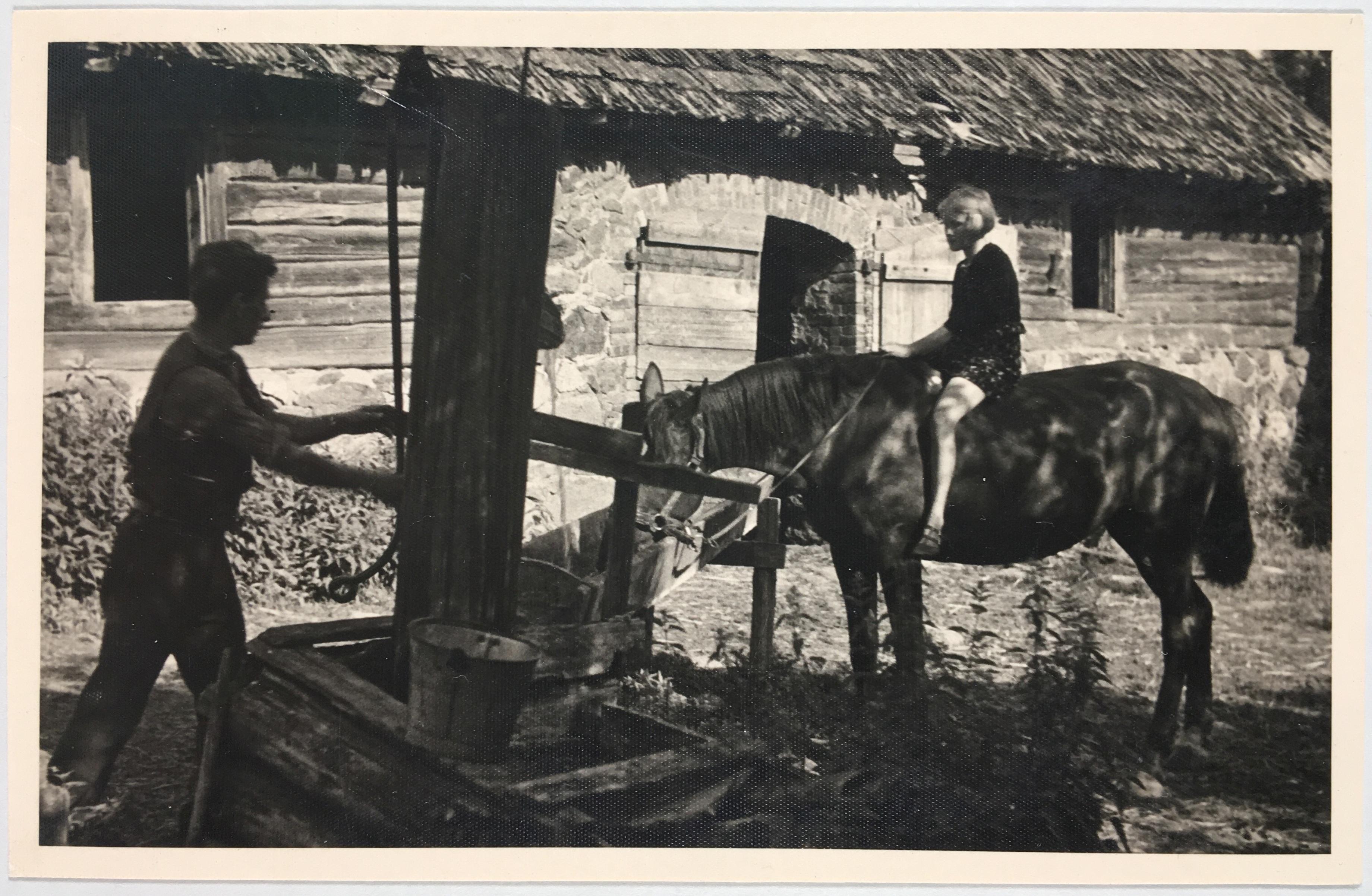 Fotopostkaart sarjast "Kaunis kodumaa" Nr. 1290 - Fotopostkaart Rene Viljati erakogust