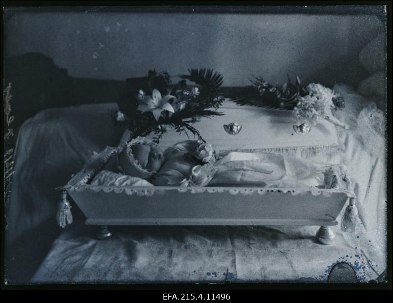 Lapse põrm kirstus, (foto tellija Ilwes [Ilves]).