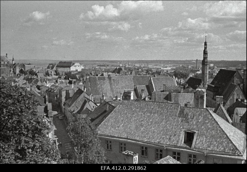 Vanalinna panoraam Toompealt. (suvine päev).