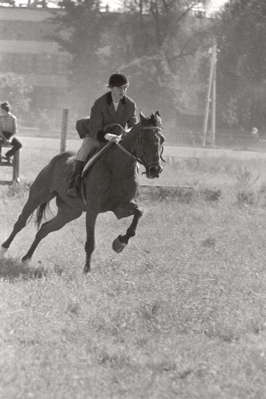 Ratsasportlane Argo Kaasik võistlemas.
