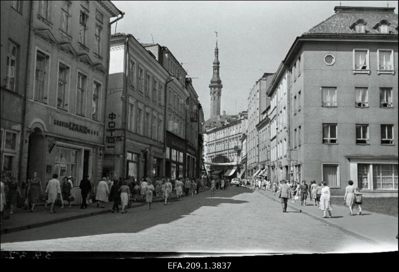 Vaade Viru tänavale.