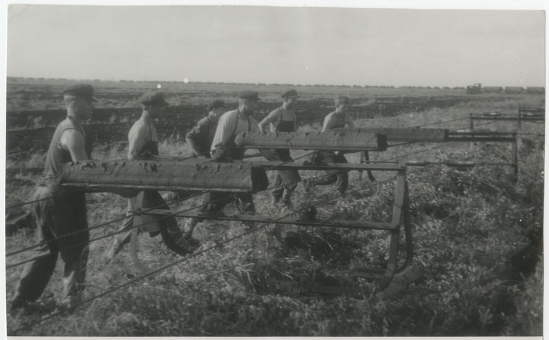 Ulila turbaraba töölised töötamas
