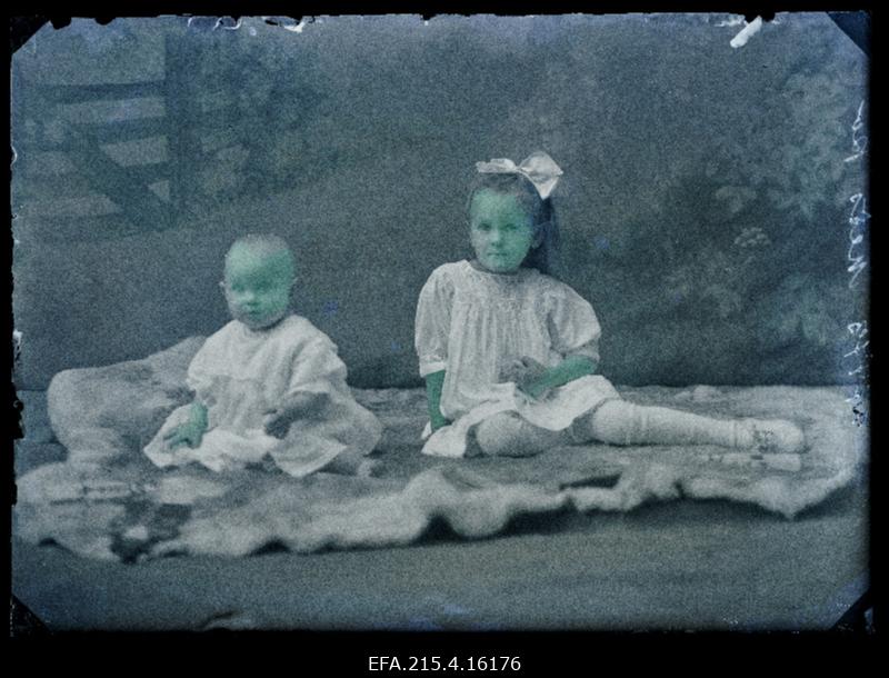 Metsa (Mets) lapsed.