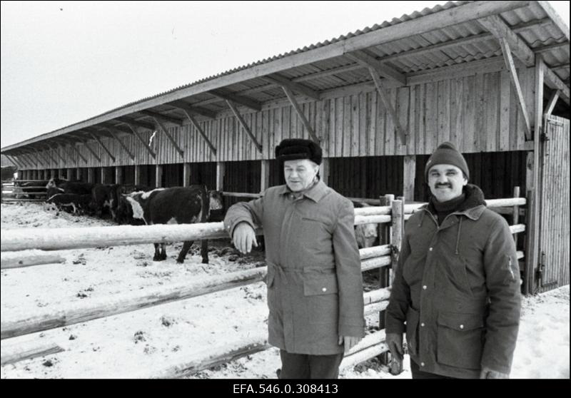 Haapsalu KEK-i töötajad, vasakul abimajandi juhataja Heikki Koik.