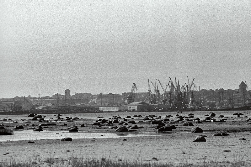 Tallinna panoraam (võetud Piritalt) ja valge reisijate laev saabub Tallinna.