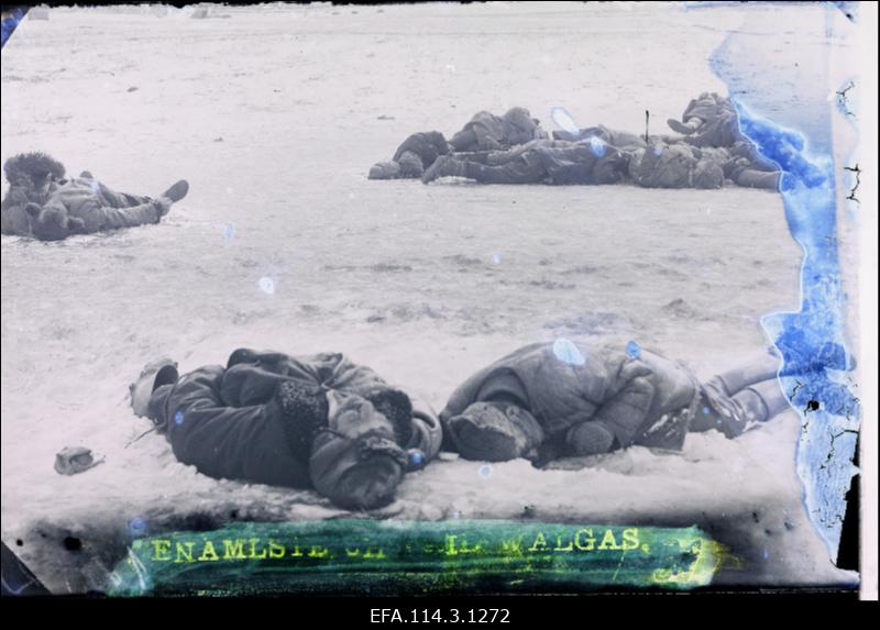 Vabadussõda. Punase terrori ohvrid.