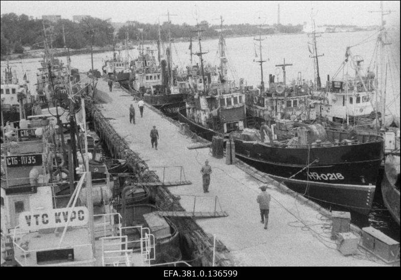 Vaade Kohtla-Järve rajooni "Oktoobri" kolhoosi sadamale.