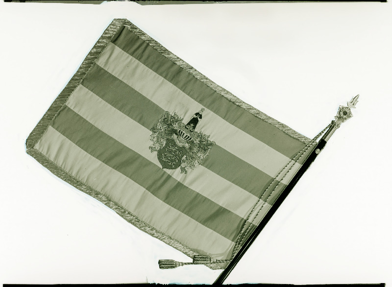 Tallinna Naiskutsekooli lipp.