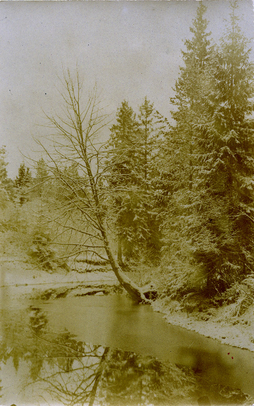 Pulga jõgi talvel. Vana-Vändra vald.