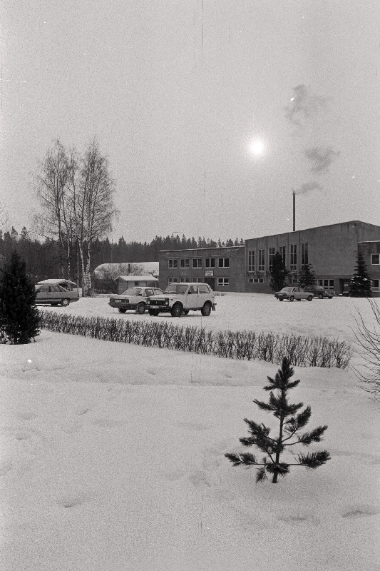 Suure-Jaani metsapunkt, metsas.