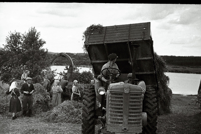 Silo valmistamine Võidu kolhoosis.
