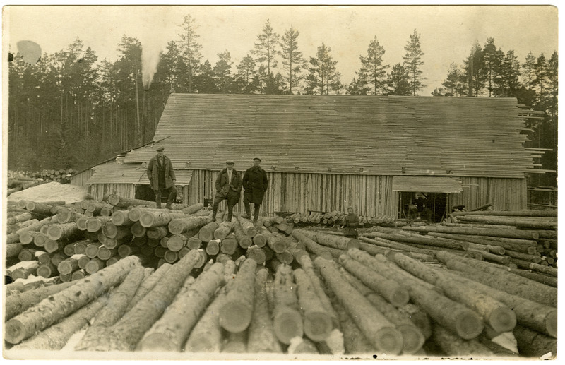 Palgiladu Koljaku metsas