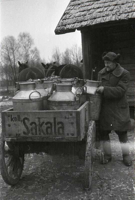 Piima toomine meiereisse Viljandi rajooni Sakala kolhoosist.