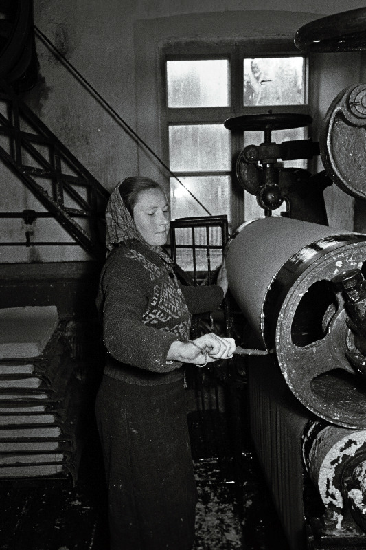 Joaveski Papivabriku noortööline Selma Jõgi.