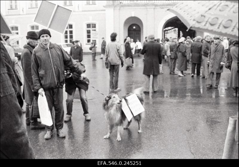 Rahvuslaste organiseeritud Eesti Ülemnõukogu vastane protestiaktsioon Toompeal.