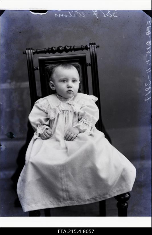 Wilmsi (Vilms) laps.