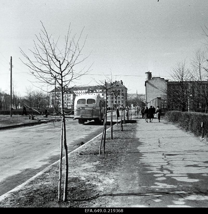 Vaade Lomononossovi (Gonsiori) tänavale.