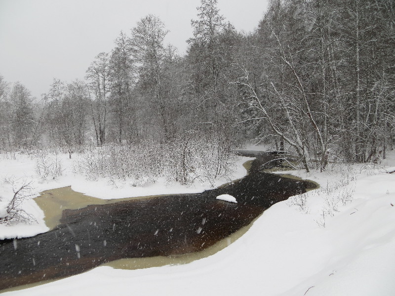 Mustoja Kõrtsitalu. Mustoja.