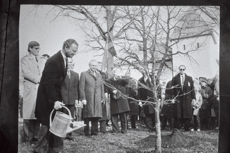 Eestis külaskäigul viibiv Rootsi kuningas Carl XVI Gustaf istutab tamme Purtse linnuse juurde. Vasakult 1. Eesti Vabariigi looduskaitseminister Tõnis Kaasik, 3. Eesti Vabariigi Ülemnõukogu esimees Arnold Rüüte 4. Eesti Põlevkivi peadirektor Väino Viilup.