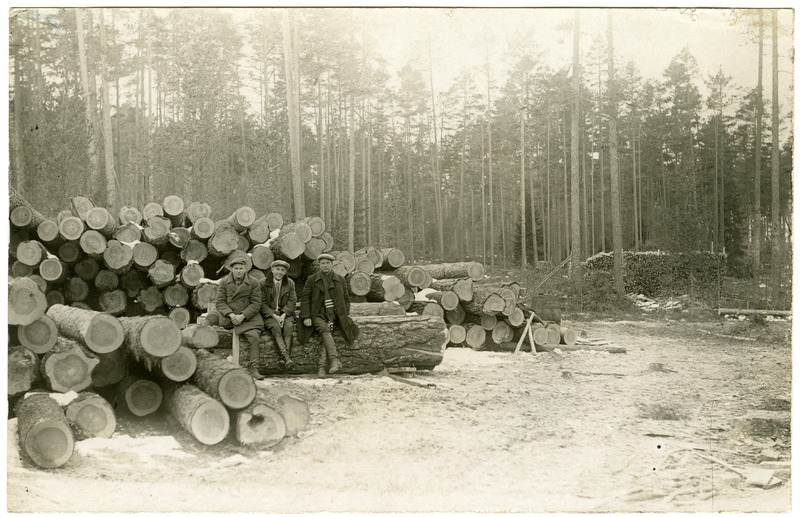 Töölised metsatöödel Koljaku metsas