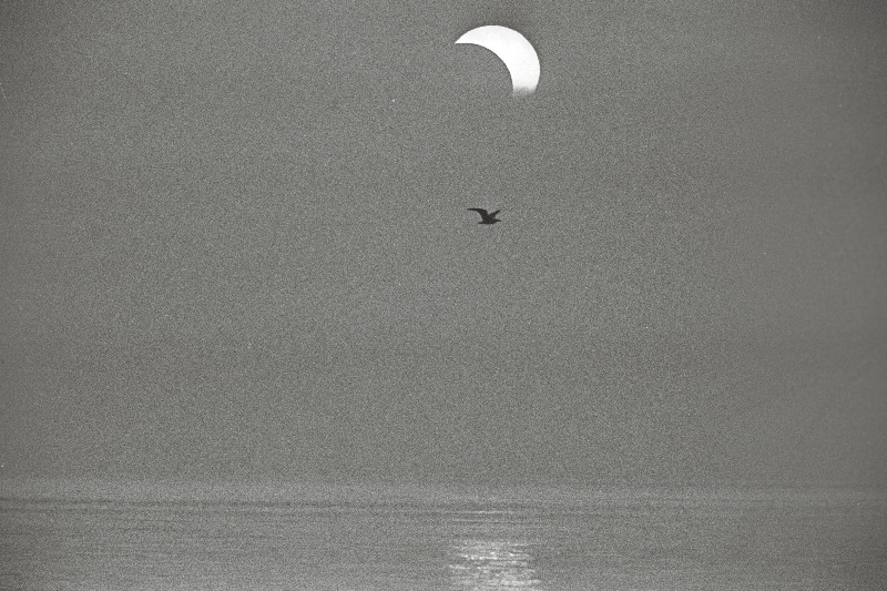 Päikesevarjutuse jälgimine Leppneemes, kui päike nähtavale tuli.