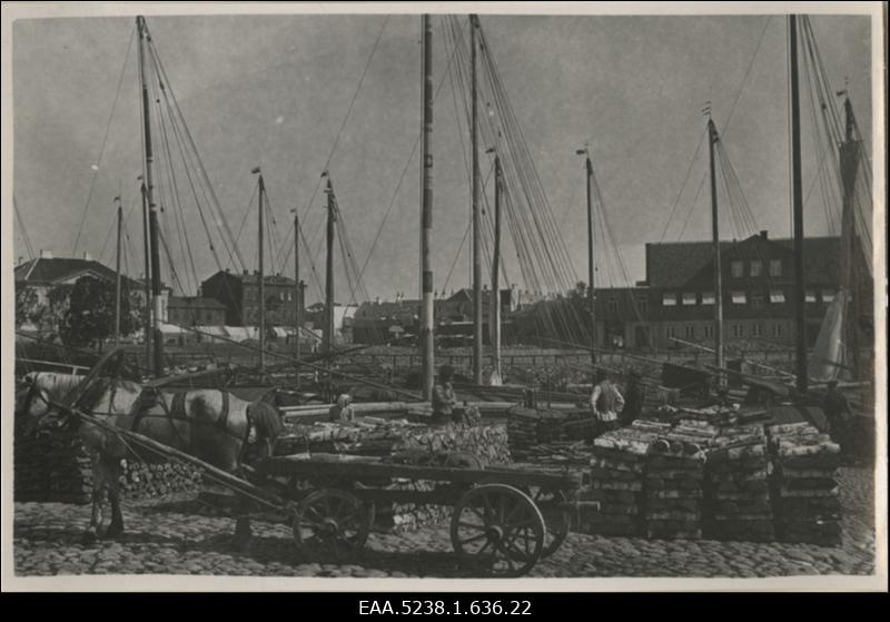 Tartu Puuturg aastal 1901, koopia fotost